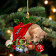 Goldendoodle Sleeping moon In Hat Two Sided Ornament, Dog custom shaped acrylic ornament