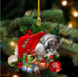 Husky Sleeping moon In Hat Two Sided Ornament, Dog custom shaped acrylic ornament
