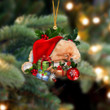 Pomeranian Sleeping In Hat Christmas Ornament Two Sided