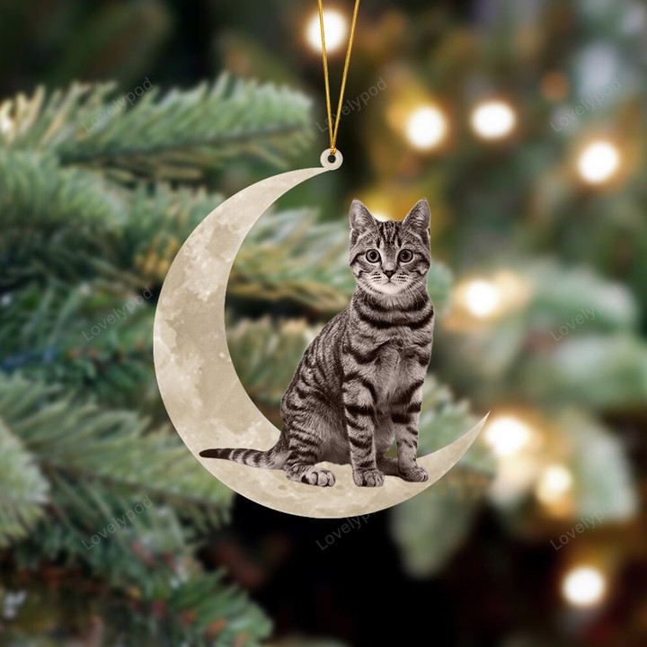 Tabby Cat Sits On The Moon Christmas Ornament, Tabby Cat shape acrylic ornament, Christmas gift for cat lover