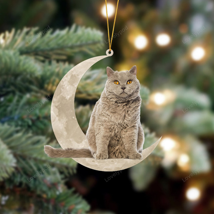 Selkirk Rex Cat Sits On The Moon Christmas Ornament, Selkirk Rex Cat shape acrylic ornament, Christmas gift for cat lover