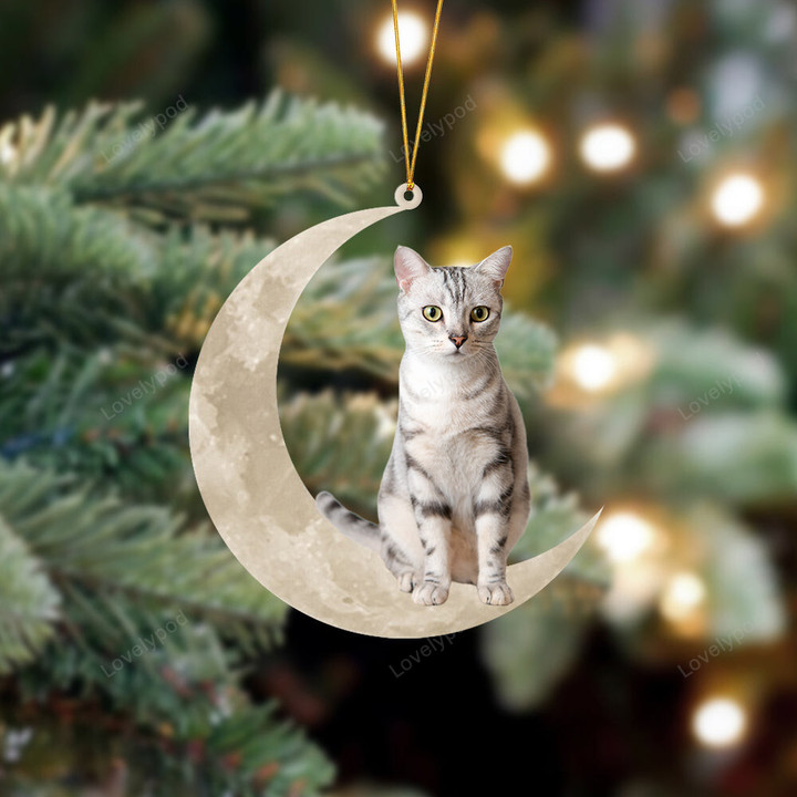 American Shorthair Cat Sits On The Moon Christmas Ornament, Cat Christmas ornament, Christmas gift for cat lover