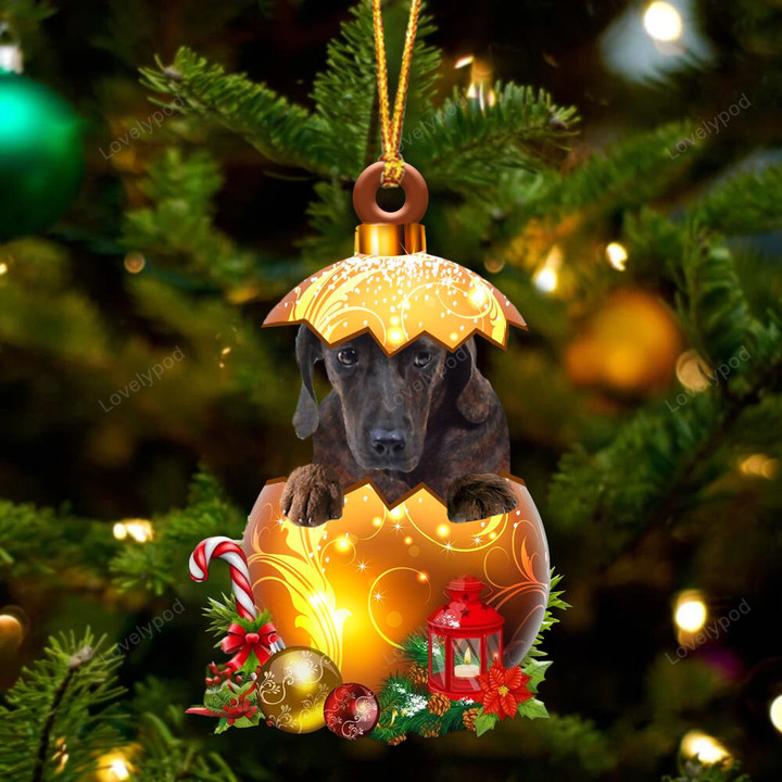 Plott Hound In Golden Egg Christmas ornament, Dog Christmas ornament, Christmas gift for Dog lover