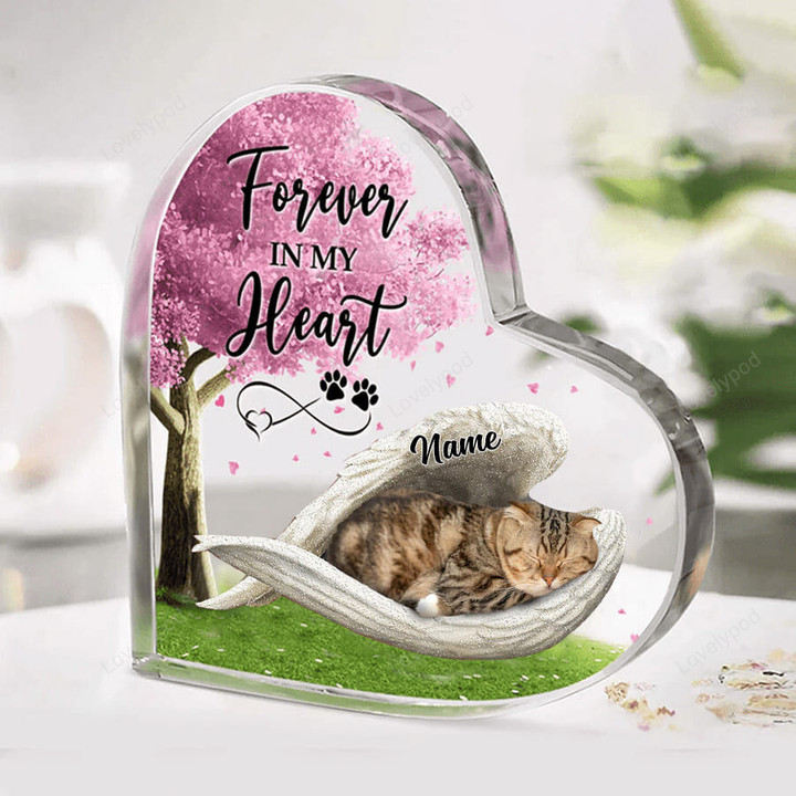 Scottish Fold Cat sleeping angel wing Acrylic plaque, Forever in my heart, Gift for Cat lover, Custom Plaque with name