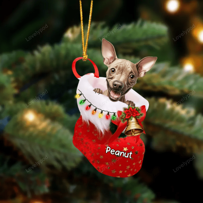 Hairless tereier in Christmas stocking Acrylic Ornament, Christmas ornament Gift for Dog lover
