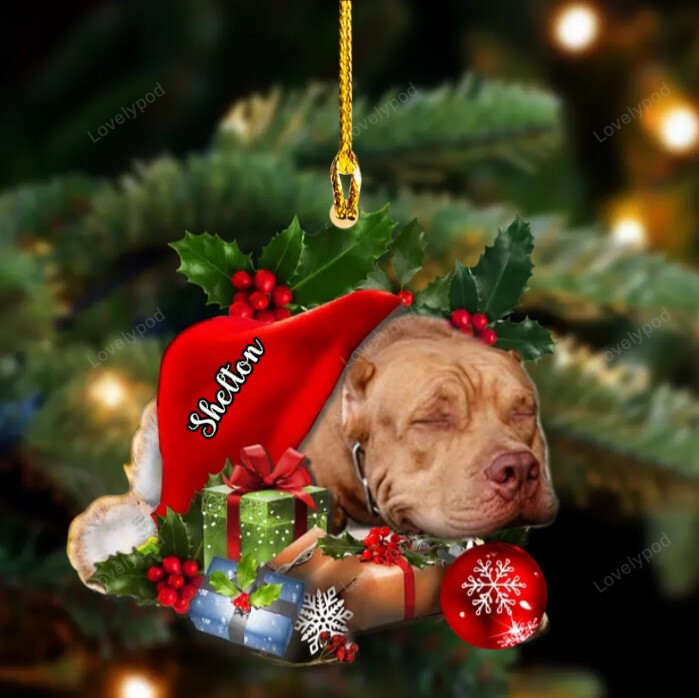 Pitbull Sleeping moon In Hat Two Sided Ornament, Dog custom shaped acrylic ornament