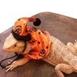 Adjustable Bearded Dragon Costume 2Pcs Lizard Hat with Cloak for Reptiles Small Pet Animals Holiday Dress Up Accessories