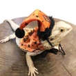 Adjustable Bearded Dragon Costume 2Pcs Lizard Hat with Cloak for Reptiles Small Pet Animals Holiday Dress Up Accessories