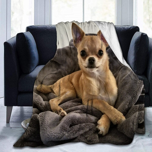 Cute Chihuahua Dog Flannel Blanket 2024