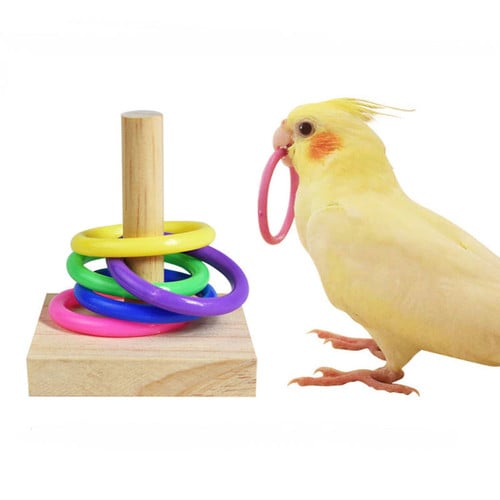 Parrots Colorful Plastic Rings Intelligence Training Chew Toy I Bird Training Toys