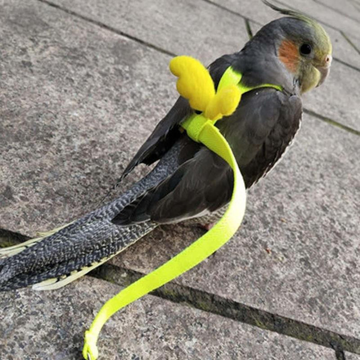 Cocktail Vest Harness Long Cable I Bird Anti-breakaway Training Rope Decorative Lightweight Parakeet Parrot Vest Rope For Bird