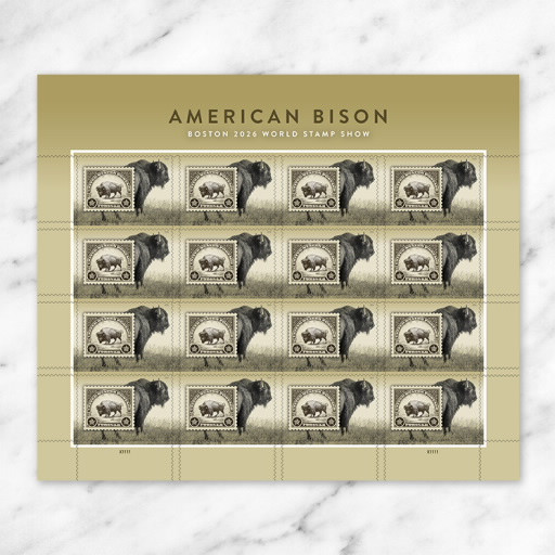 2026 American Bison