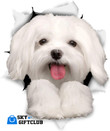 Maltese car stickers