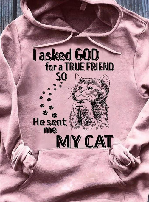 I Asked God Cat For A True Friend He Sent Me My Cat Hoodie Cat Mom Mothers Day Gifts