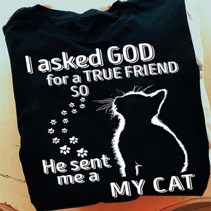 I Asked God For A True Friend So He Set Me A My Cat Shirt Cat Lovers Gifts For Christian