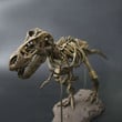 Large DIY Dinosaur Skeleton Toys Ornament Simulation T-Rex Model Skeleton Park Fossilized Gift
