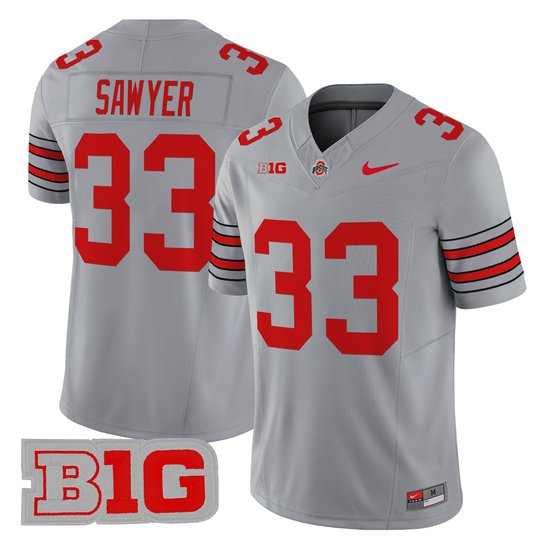 Men's Ohio State Buckeyes 'Heritage Stripe' 2025/26 Vapor Limited Jersey - All Stitched