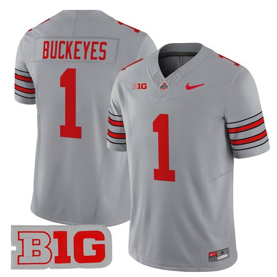 Men's Ohio State Buckeyes 'Heritage Stripe' 2025/26 Vapor Limited Jersey - All Stitched