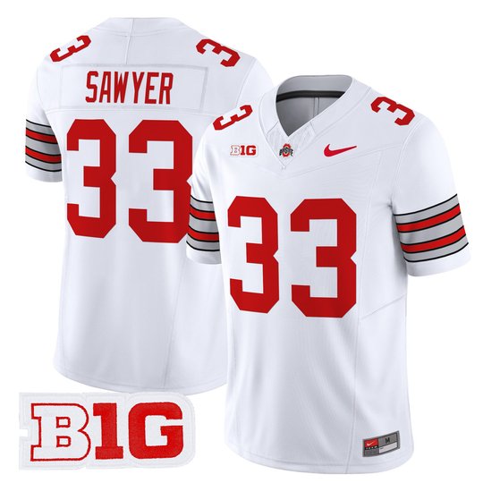 Men's Ohio State Buckeyes 'Heritage Stripe' 2025/26 Vapor Limited Jersey - All Stitched