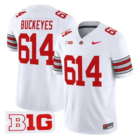 Men's Ohio State Buckeyes 'Heritage Stripe' 2025/26 Vapor Limited Jersey - All Stitched