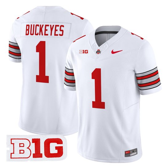 Men's Ohio State Buckeyes 'Heritage Stripe' 2025/26 Vapor Limited Jersey - All Stitched