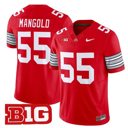 Men's Ohio State Buckeyes 'Heritage Stripe' 2025/26 Vapor Limited Jersey - All Stitched