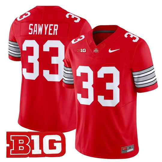 Men's Ohio State Buckeyes 'Heritage Stripe' 2025/26 Vapor Limited Jersey - All Stitched