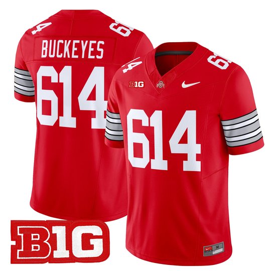 Men's Ohio State Buckeyes 'Heritage Stripe' 2025/26 Vapor Limited Jersey - All Stitched