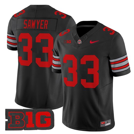 Men's Ohio State Buckeyes 'Heritage Stripe' 2025/26 Vapor Limited Jersey - All Stitched