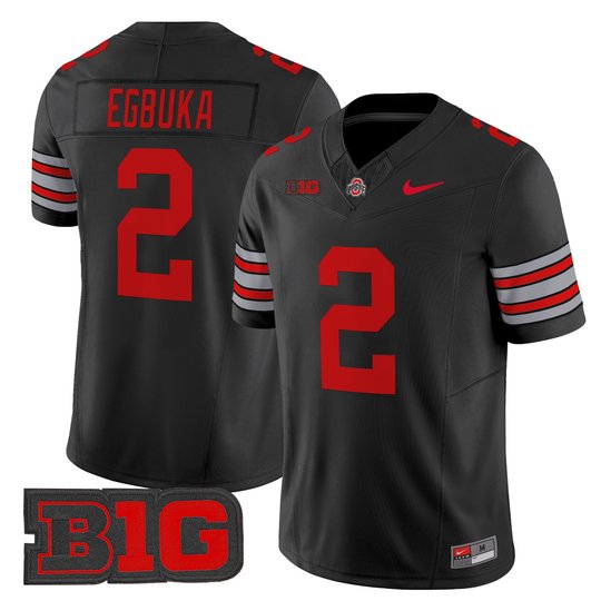 Men's Ohio State Buckeyes 'Heritage Stripe' 2025/26 Vapor Limited Jersey - All Stitched