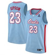 Florida Atlantic Powder Blue Basketball Jersey-All Stitched