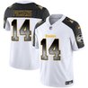 Youth's Steelers Arch Smoke Vapor Jersey - All Stitched