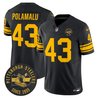 Men's Pittsburgh Steelers Throwback 1962 Vapor Limited Jersey V2 - All Stitched