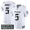 Men's Pittsburgh Steelers 'Gothic Steel City Edition' Vapor Limited Jersey - All Stitched