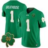 Men's Notre Dame Fighting Irish 2025 Vapor Limited Jersey V3 - All Stitched