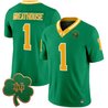 Men's Notre Dame Fighting Irish 2025 Vapor Limited Jersey V3 - All Stitched