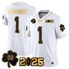 Men's Notre Dame Fighting Irish 2025 CFP Final Patch Gold Vapor Limited Jersey - All Stitched