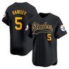 Men's Pittsburgh Steelers 2025 Vapor Baseball Jersey - All Stitched