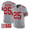 Men's Ohio State Buckeyes 'Heritage Stripe' 2025/26 Vapor Limited Jersey - All Stitched