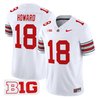 Men's Ohio State Buckeyes 'Heritage Stripe' 2025/26 Vapor Limited Jersey - All Stitched