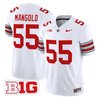 Men's Ohio State Buckeyes 'Heritage Stripe' 2025/26 Vapor Limited Jersey - All Stitched