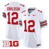 Men's Ohio State Buckeyes 'Heritage Stripe' 2025/26 Vapor Limited Jersey - All Stitched