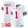 Men's Ohio State Buckeyes 'Heritage Stripe' 2025/26 Vapor Limited Jersey - All Stitched