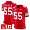 Men's Ohio State Buckeyes 'Heritage Stripe' 2025/26 Vapor Limited Jersey - All Stitched
