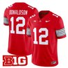 Men's Ohio State Buckeyes 'Heritage Stripe' 2025/26 Vapor Limited Jersey - All Stitched