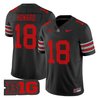 Men's Ohio State Buckeyes 'Heritage Stripe' 2025/26 Vapor Limited Jersey - All Stitched
