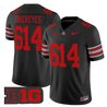 Men's Ohio State Buckeyes 'Heritage Stripe' 2025/26 Vapor Limited Jersey - All Stitched