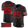 Men's Ohio State Buckeyes 'Heritage Stripe' 2025/26 Vapor Limited Jersey - All Stitched