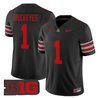 Men's Ohio State Buckeyes 'Heritage Stripe' 2025/26 Vapor Limited Jersey - All Stitched