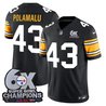 Men's Pittsburgh Steelers 6-Time Champions Patch Vapor Limited Jersey - All Stitched